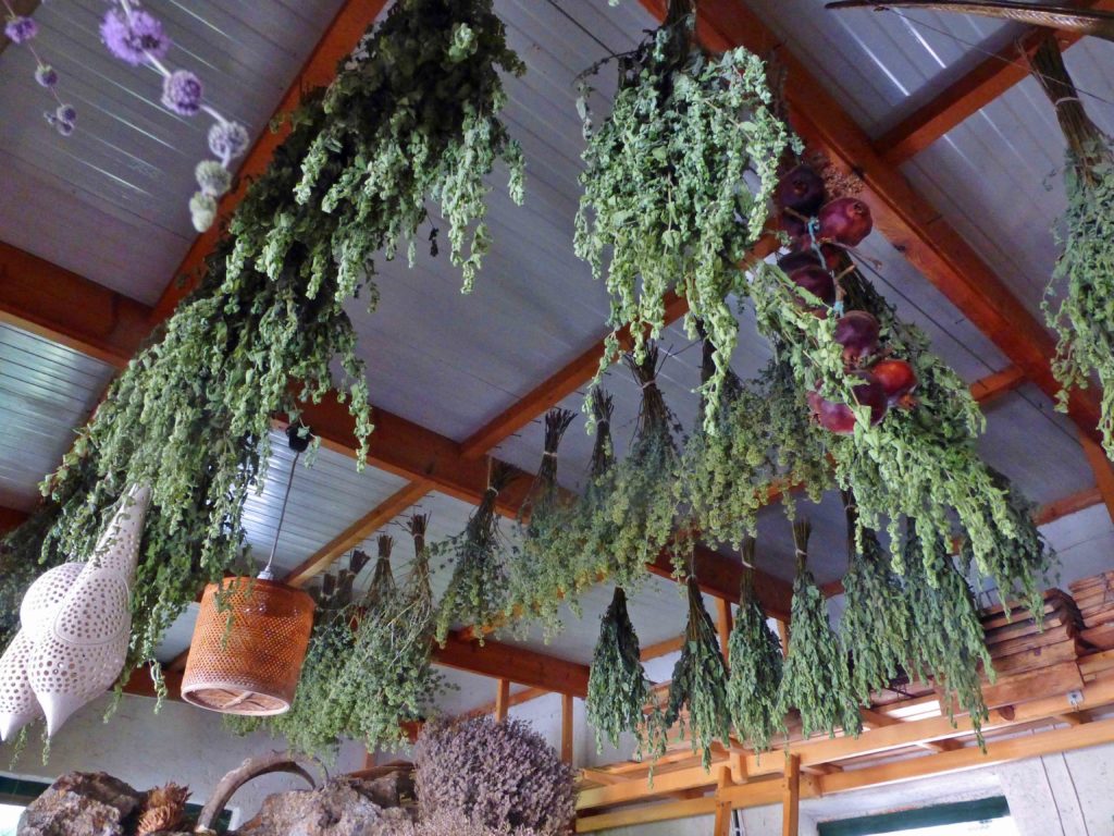 Herbs drying in Janine's shop