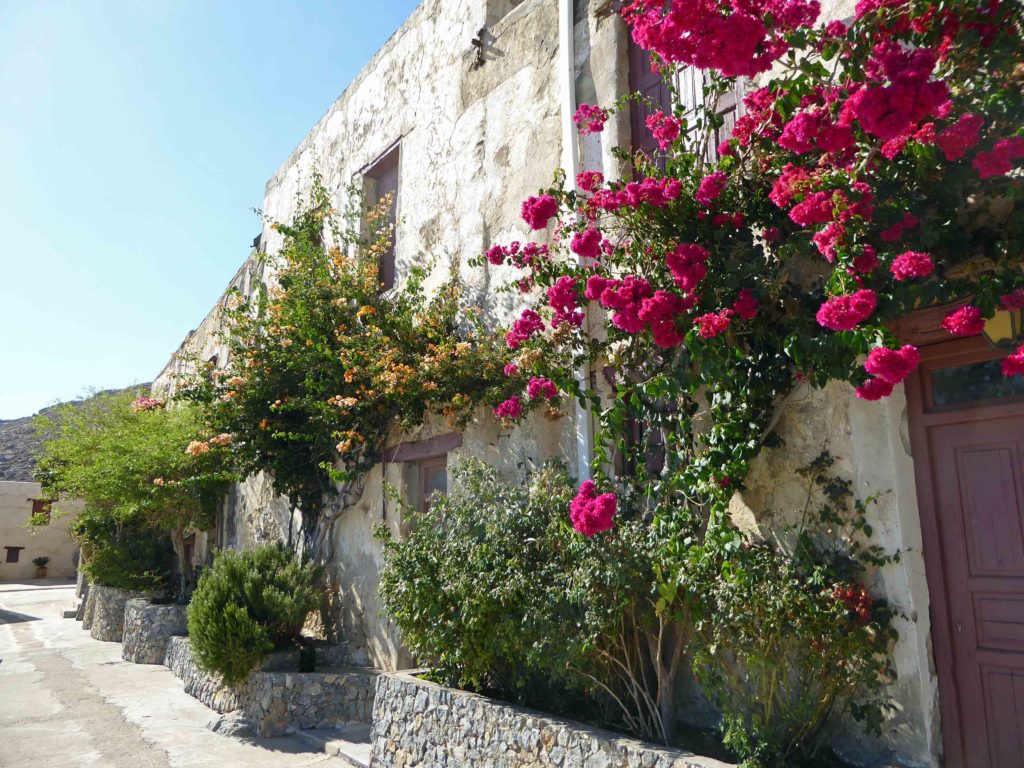 Buildings in the monastery, with bougainvillea